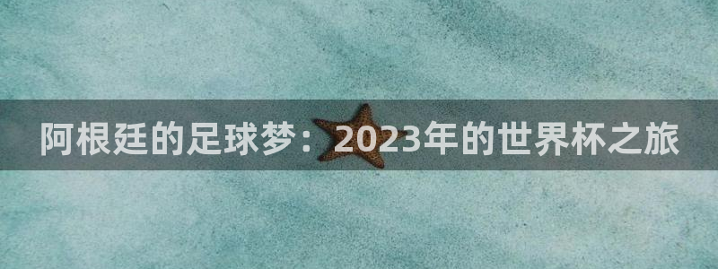 2026世界杯赛:阿根廷的足球梦:2023年的世界杯之旅