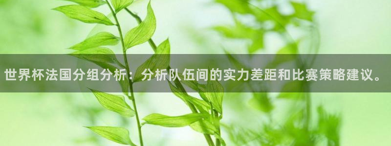 世界杯 2026:世界杯法国分组分析:分析队伍间的实力差距和比赛策略建议。