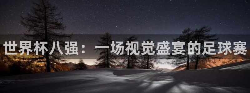 2026世界杯官网入口:世界杯八强:一场视觉盛宴的足球赛