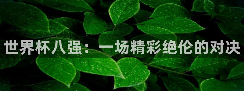 2026世界杯日期:世界杯八强:一场精彩绝伦的对决